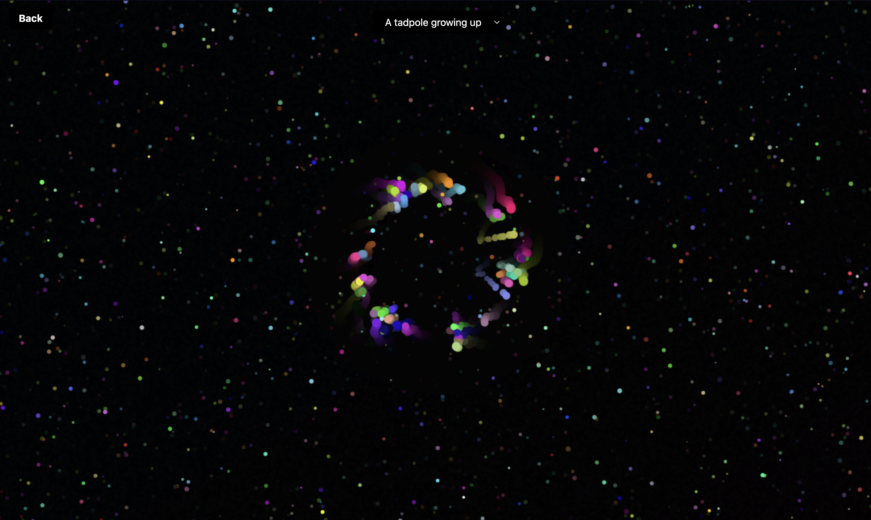 Music Visualizer Screenshot